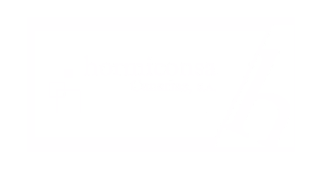 Hormiconsa