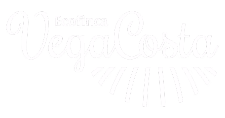 vegacosta