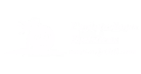 Orly Explotaciones Turísticas